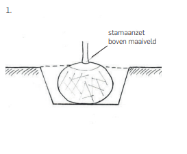 Etablering af plantehul